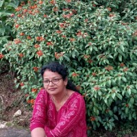 PHIA Foundation Employee Minakshi Tripathy's profile photo