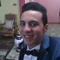 Hossam Hassan Email