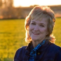 Wells Fargo Employee Joyce Green's profile photo