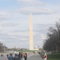 Futurewei Technologies, Inc. Employee Donald Morrissey's profile photo