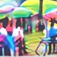 Southwest Autism Research & Resource Center Employee Wade Newhouse's profile photo