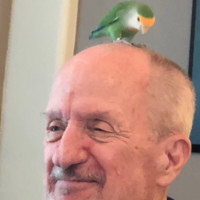 Harold Anthony Email & Phone Number