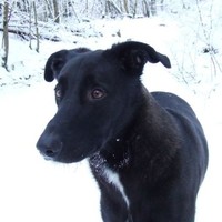 Micron Employee Sandy Fleming's profile photo