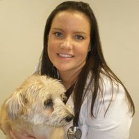 Village Animal Clinic Employee Bridget Peck's profile photo