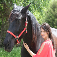 Counseling Network Inc. Employee Karin Huff's profile photo