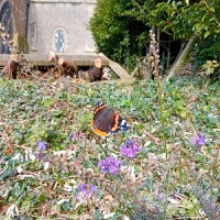 Claire P.'s profile photo