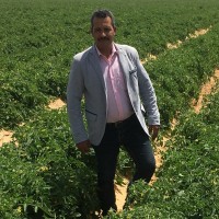 Mohamed Elkhodery Email & Phone Number