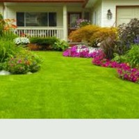 Tyrone Brown Email & Phone Number