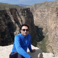 HEDCO Employee Amir Delpazir's profile photo
