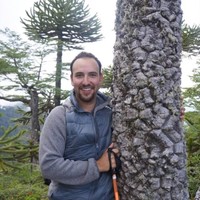Incendios Forestales/CONAF Employee Rodrigo Andrés Valderrama Aguilar's profile photo