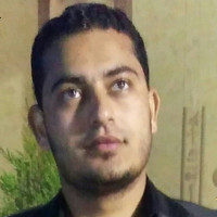 Hamdy Elsayed Email