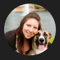 Veterinary Hospital Employee Lori Ament's profile photo