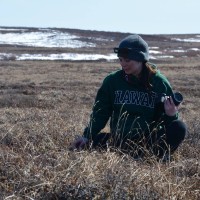 Alaska Native Science & Engineering Program (ANSEP) Employee Jazmine Camp's profile photo