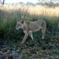 Jack Lehr Electric Inc Employee Jon Hammett's profile photo