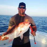 Todd Termini Email & Phone Number