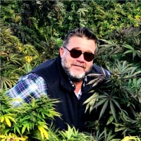 Fishwhistle Smokes Employee Christopher Walsh's profile photo