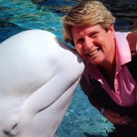 Longmeadow Public Schools Employee Kathleen Russotto's profile photo