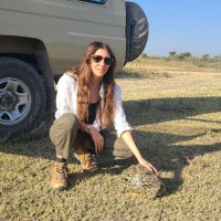 Warren County Health Department Employee Kathryn della Terza's profile photo