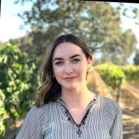 Norah Shimer's profile photo