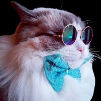 eDigital Employee Mau Esmar's profile photo