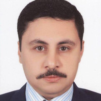 Tarek Rashed Email & Phone Number