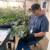 Galenas Employee Jimmy Riley's profile photo