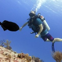 SouthTech Systems, Inc. Employee Tracy Kaminer's profile photo