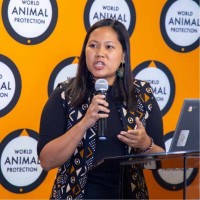 Angel Flores Email & Phone Number