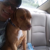 Lucidity Systems Employee Stacey Schumann's profile photo
