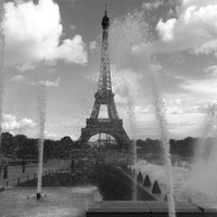 NIACC-AVITECH TECHNOLOGIES INC. Employee Nicholas Wright's profile photo