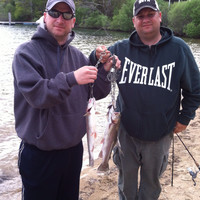 Waltham Pest Services Employee Steve Arnold's profile photo