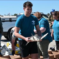 Gavin Anderson Email