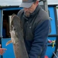 American Mine Services Employee Vincent Reiley's profile photo