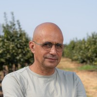 Elad Hever Email & Phone Number