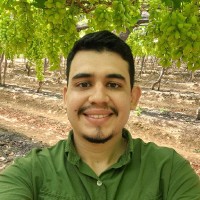 Agrivale Ltda. Employee Murilo Castro's profile photo