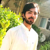 Internee.pk Employee Hub Bhutto's profile photo