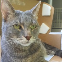 EXCONCEPT GmbH Employee Siniša Mitrović's profile photo