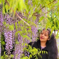 Studious Employee Iqraa Bismi's profile photo