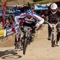 Chris Morley Email & Phone Number