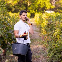 Chateau Mentone Employee Nicolas Bretton's profile photo