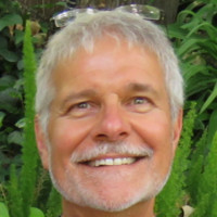 David Fitch