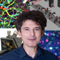 ELSC Employee Lior Golgher's profile photo