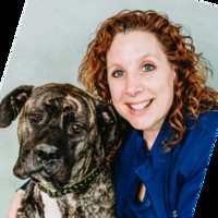 Detroit Dover Animal Hospital Employee AJ Scott's profile photo