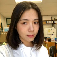 Taoran Wang Email