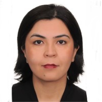 Bahar Ghelichi Email