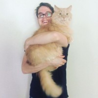 Robert Lark's profile photo