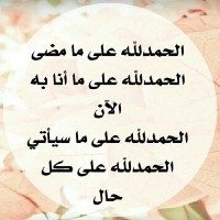 Mamdouh Ali Email