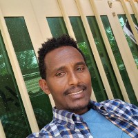 Lecturer Employee Goitom Asmelash's profile photo