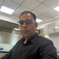 EW Nutrition Employee Navin Dixit's profile photo