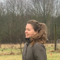 Julie Lynge Email & Phone Number